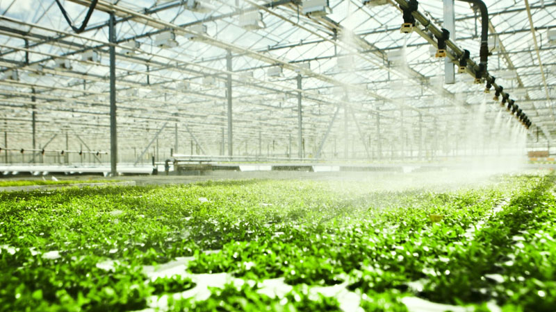 Agriculture